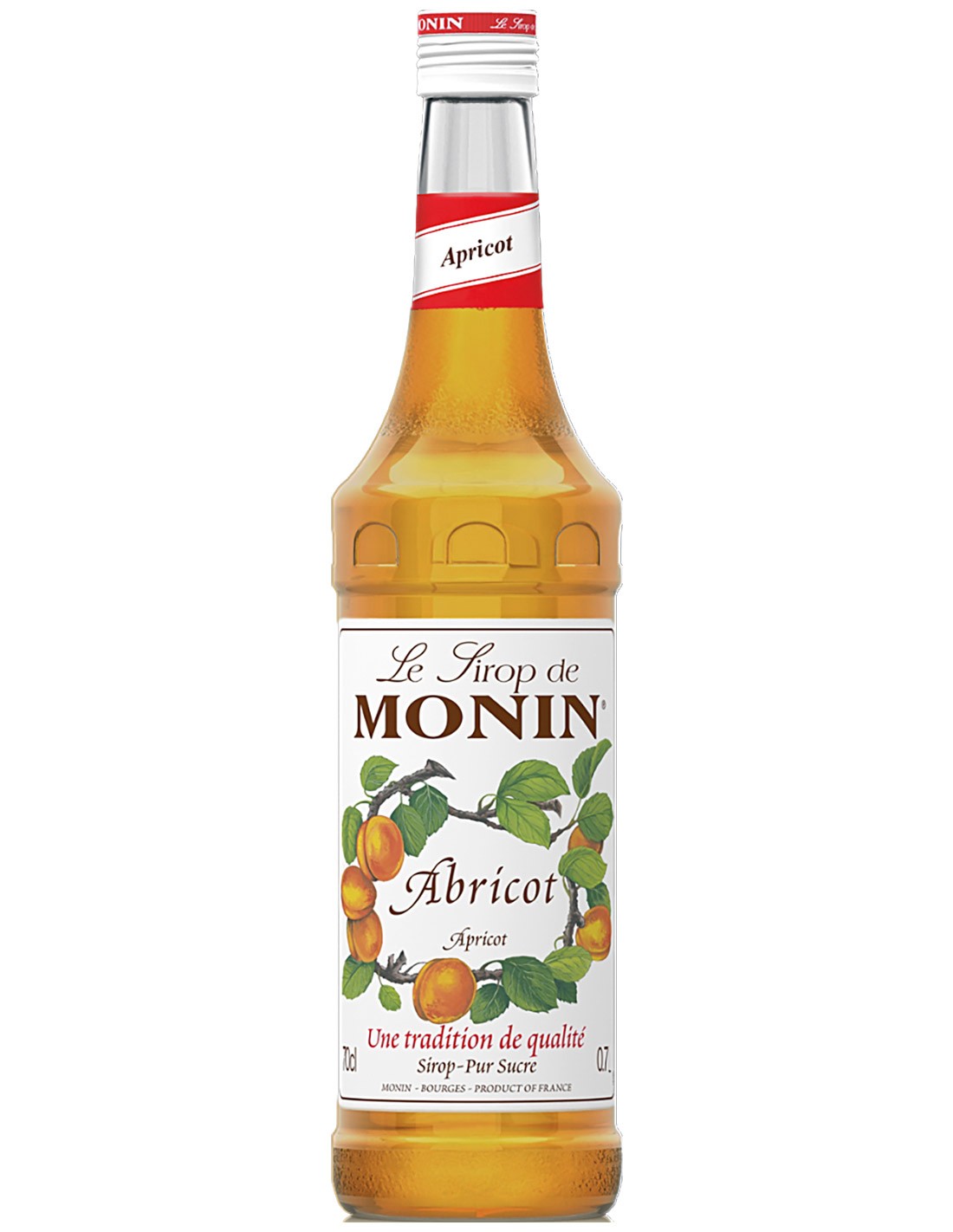 SIROP MONIN MonDrink Swiss