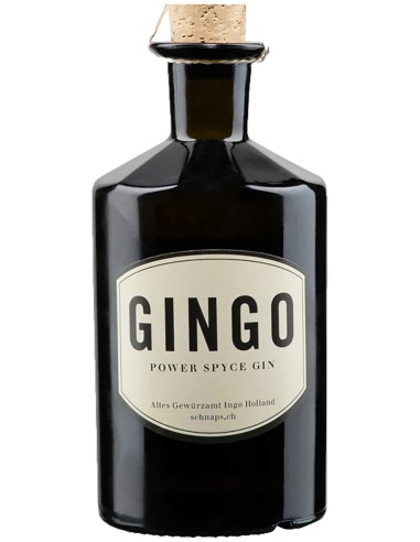 Gin Gingo Power Spyce 50 cl.