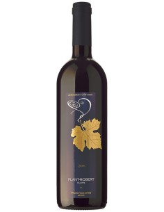 Plant Robert Villette-Lavaux AOC 2017 75 cl.