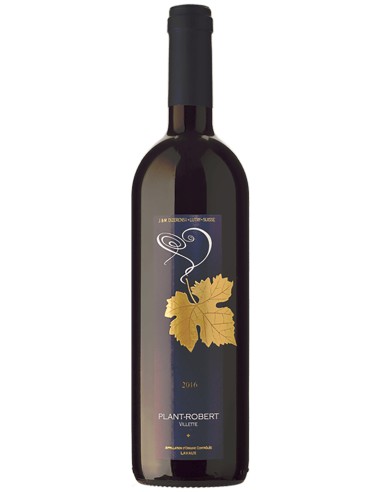 Plant Robert Villette-Lavaux AOC 2017 75 cl.