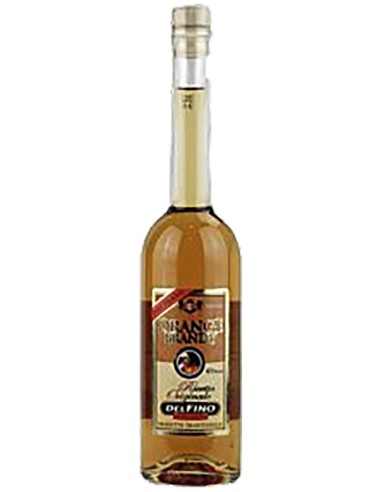 Brandy DelFino Orange 20 cl.