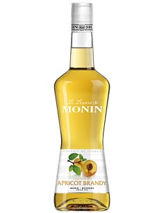 Liqueur Monin - Abricot Brandy 70 cl.