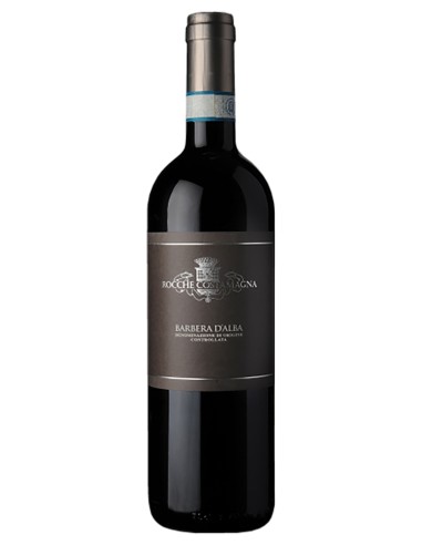 Barbera d'Alba DOC Rocche Costamagna 2017 75 cl.