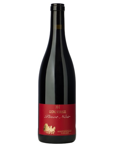 Jeninser Pinot Noir  Georg Schlegel 2017 37.5 cl.