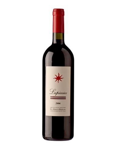 Lupicaia IGT Toscana Tenuta del Terriccio 2012 75 cl.