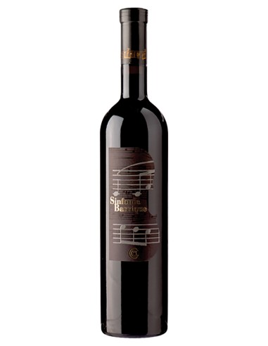 Merlot Sinfonia DOC Ticino Chiericati Vini 2012 50 cl.
