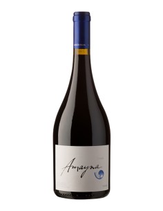 Syrah DO Leyda Valley Amayna 2015 75 cl.