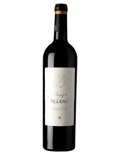 Milagros de Figuero DO Ribera del Duero García Figuero 2017 75 cl.
