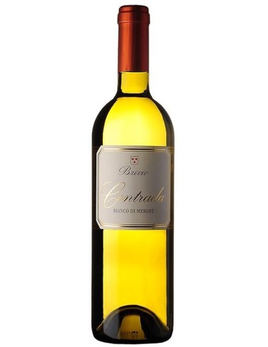 Contrada Bianco di Merlot Brivio 2021 75 cl.