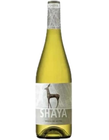 Bodegas Shaya Shaya DO 2020 75 cl.