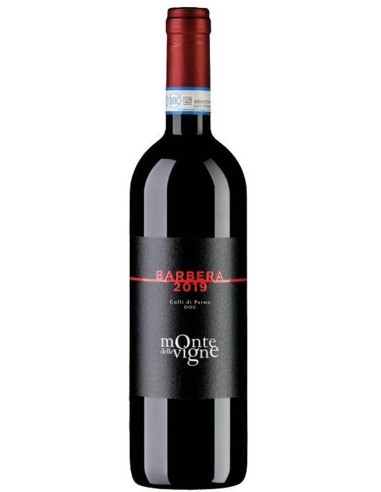 Monte delle Vigne Barbera DOC 2019 75 cl.