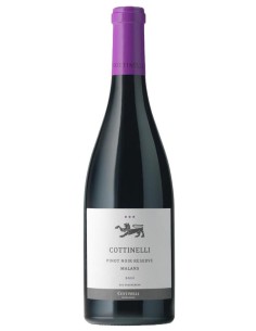 Weinhaus Cottinelli/ Plozza Wine Group Malanser Pi
