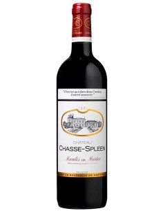 Château Chasse-Spleen 2018 75 cl.