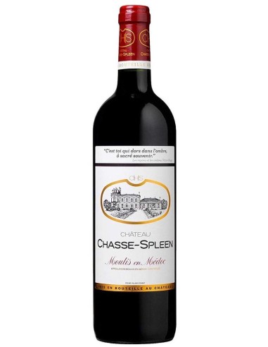 Château Chasse-Spleen 2017 150 cl.