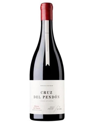 Bodegas Dominio de Cair Cruz del Pendon DO 2015 75