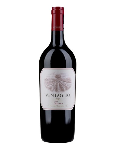 Tenuta Argentiera Ventaglio IGT Limited Edition (n