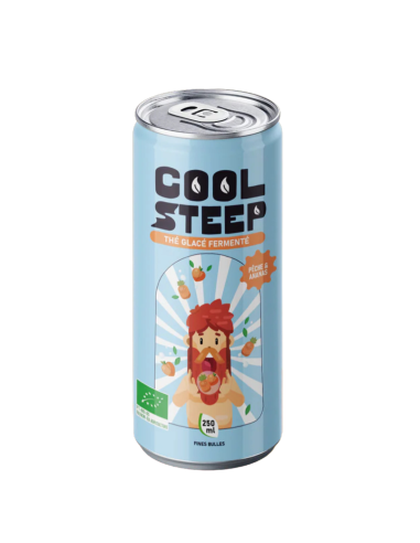 Coolsteep Pêche & Ananas Thé Glacé Fermenté BIO Can 25 cl.